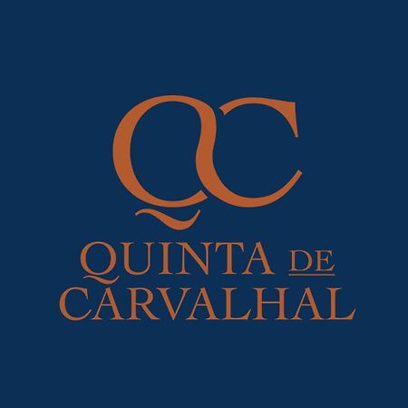 ギマランイス Quinta De Carvalhal - Casa Da Vinhaヴィラ エクステリア 写真