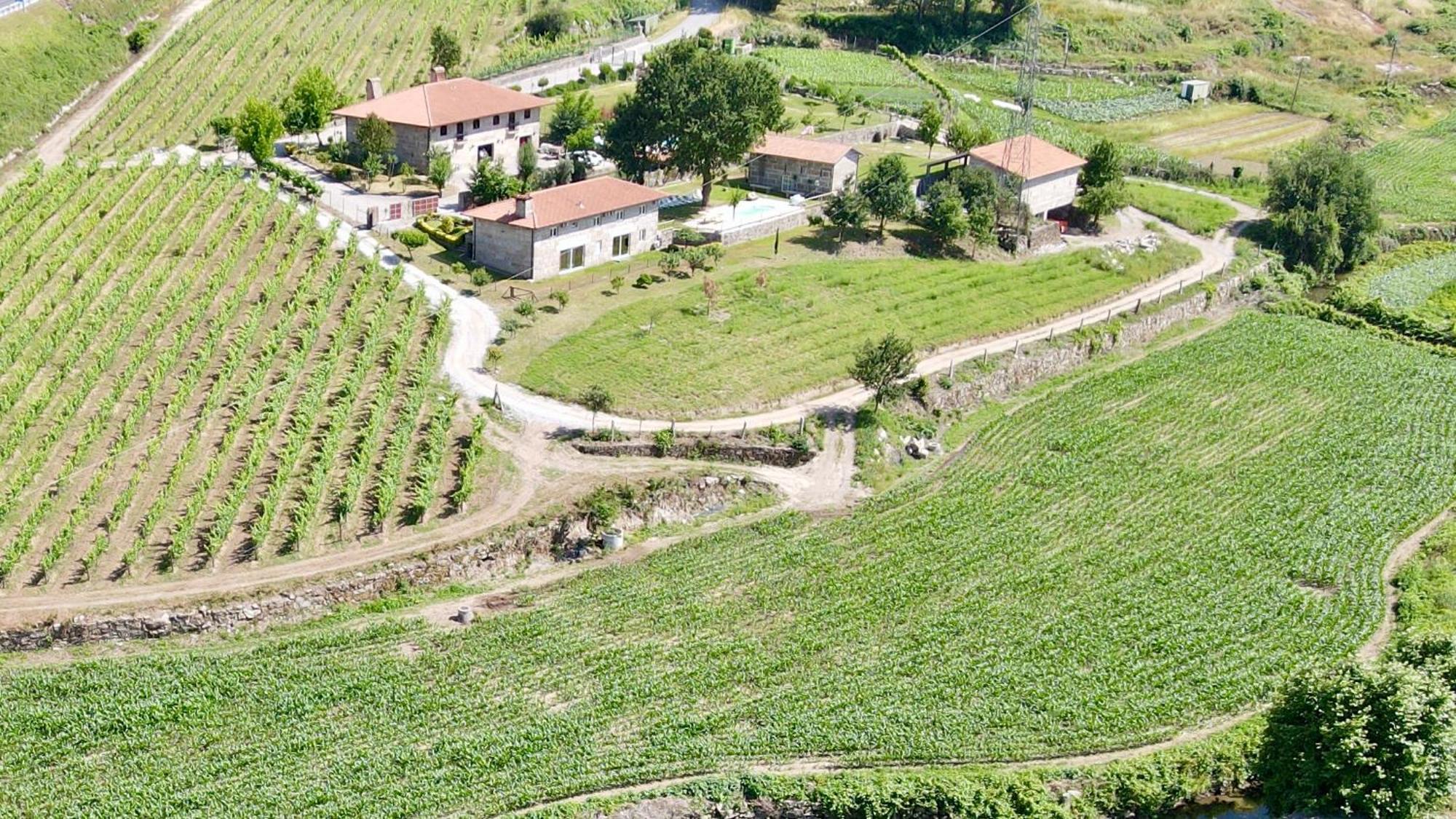 ギマランイス Quinta De Carvalhal - Casa Da Vinhaヴィラ エクステリア 写真